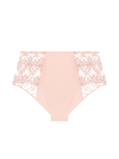 SINGULIERE Full Brief